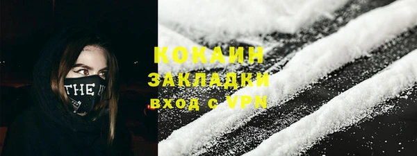 стаф Алзамай