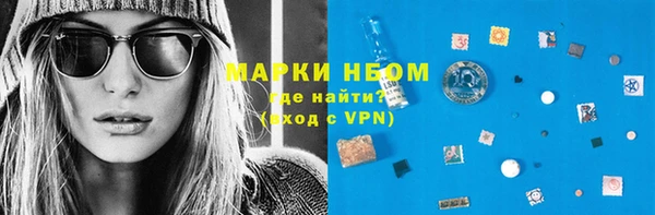 стаф Алзамай