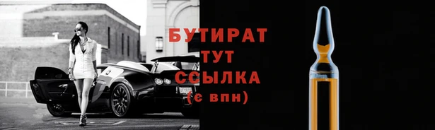 стаф Алзамай