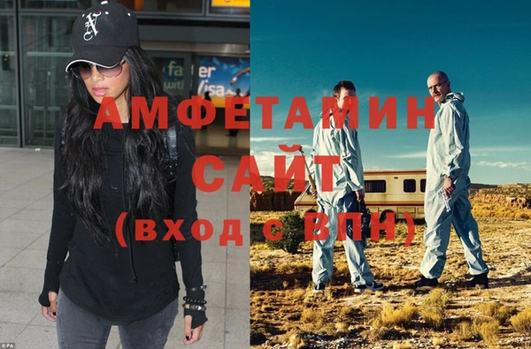 стаф Алзамай