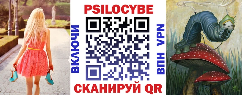 Галлюциногенные грибы Cubensis  Ардатов 